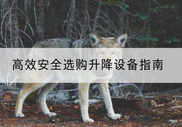 吉木乃升降货梯厂家推荐-*安全选购升降设备指南