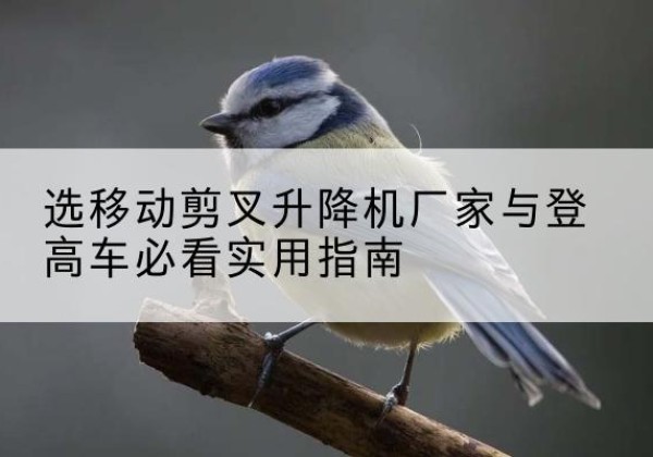 吉木乃电动升降机厂家-选移动剪叉升降机厂家与登高车必看实用指南