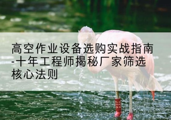 吉木乃剪叉式升降机厂家-高空作业设备选购实战指南-十年工程师揭秘厂家筛选核心法则